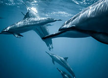 九游体育-开云，让云端成为生活的友人